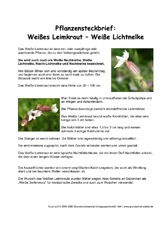 Pflanzensteckbrief-Weißes-Leimkraut.pdf